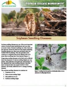 Soybean Disease Management - Soybean Seedling Diseases