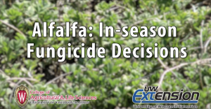 Fungicide on Alfalfa