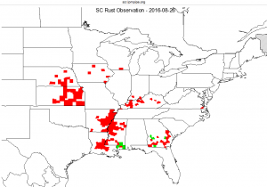 Corn Southern Rust positive confirmation map, by state county