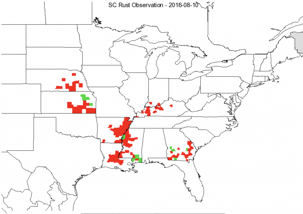 Figure 1. Corn Southern Rust Map - August 10, 2016