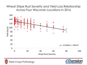 Figure 2. Wheat Stripe Rust Severity and Yield Loss Relationship Across Four Wisconsin Locations in 2016