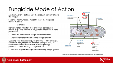 Field Crops Fungicide Information - Badger Crop Doc