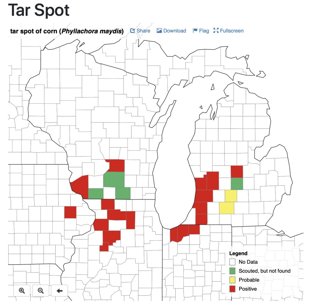 Tar Spot Now Confirmed in Wisconsin in 2019 Badger Crop Doc